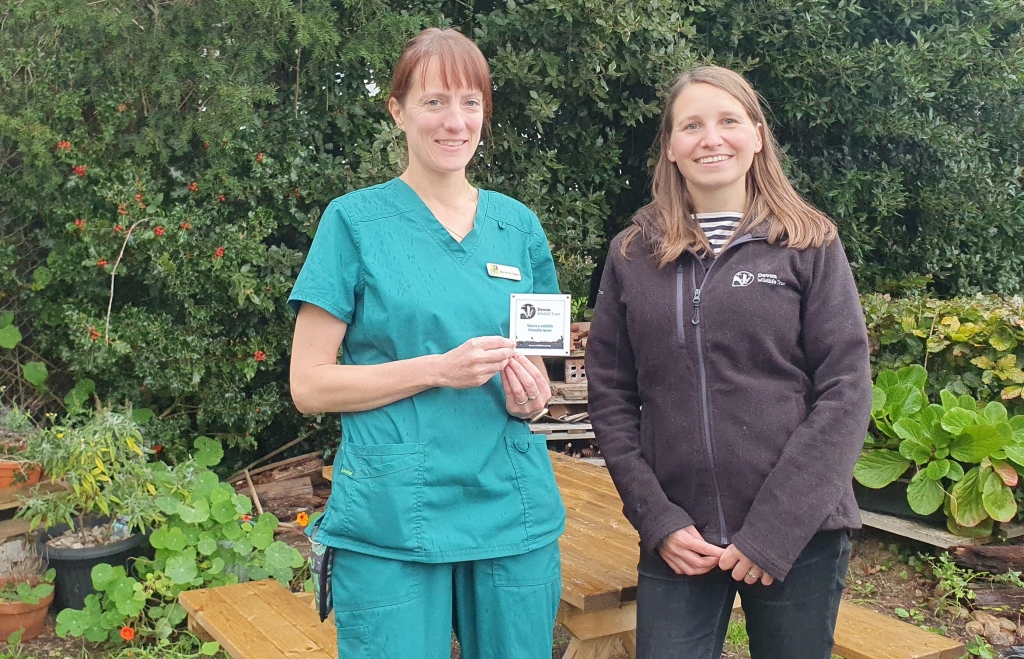 Linnaeus-owned City Vets has been recognised by Devon Wildlife Trust for creating a space for wildlife, which has also become a relaxing space for staff and clients.
