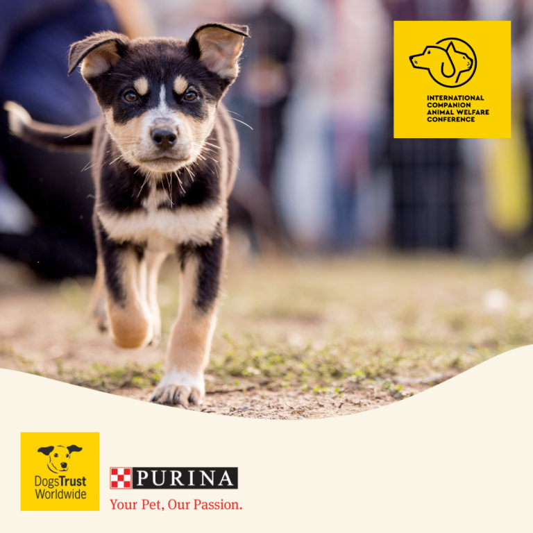 Dogs Trust and Purina poster