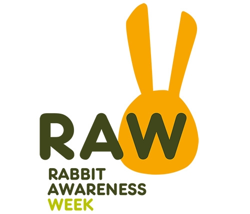 RAW logo