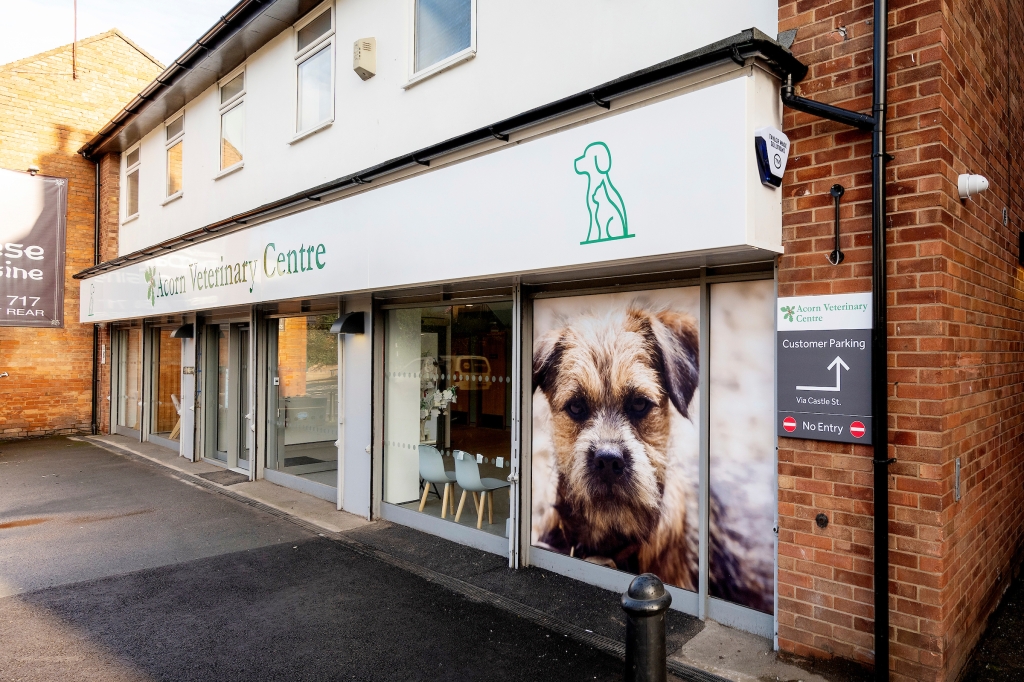 A new upgraded Acorn Vets practice has opened in Studley