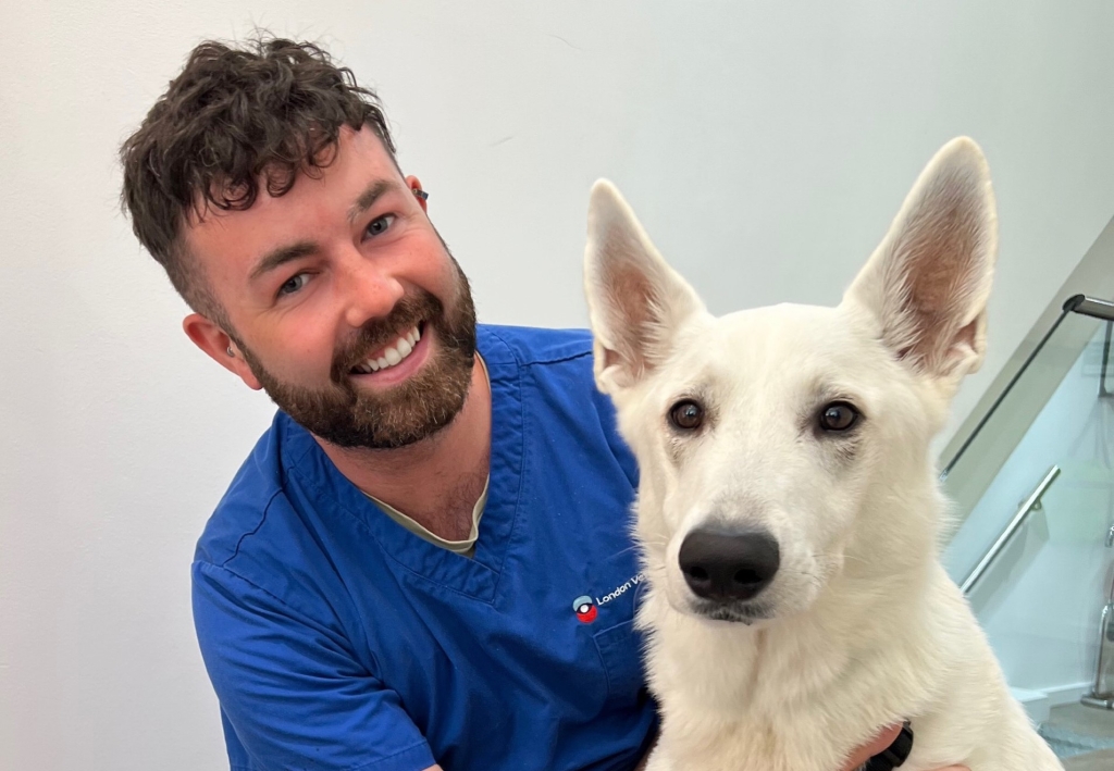 Ryan Kavanagh has been promoted to head of nursing services at London Vet Specialists. 