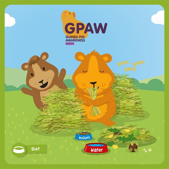 GPAW graphic
