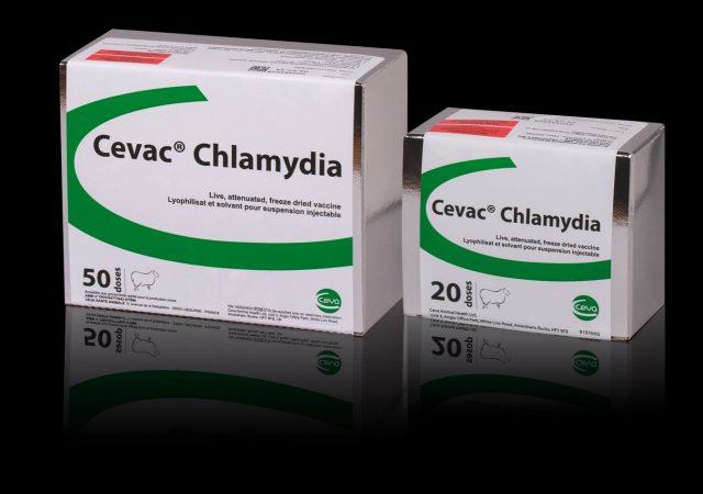 If C. abortus is identified in a flock, a veterinary-devised plan combining vaccination with Cevac Chlamydia, biosecurity and only purchasing stock from accredited flocks will assist disease control and eventual eradication.