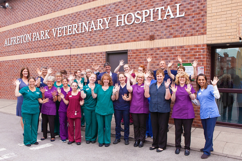 The team at Alfreton Park Veterinary Hospital 