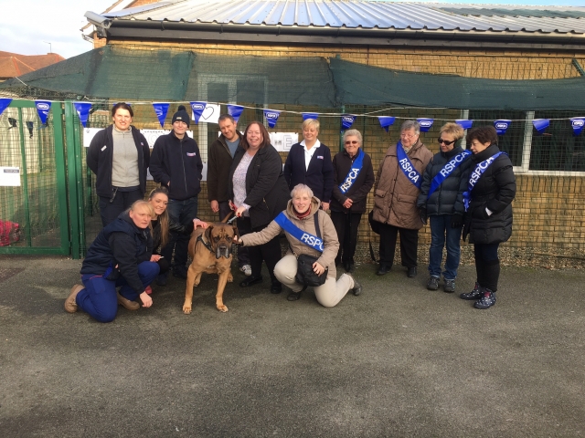 Agnes Harinquet, Goddard Chingford  Kennel Manager, Lauren Saunders Kennel Assistant GVG, Michael and Kate Emmons, Diane Ward GVG reception, RSPCA Essex South West Volunteers Margaret Ascott, Barbara Lucas, Bitte Nielson and, far right standing Maureen Po