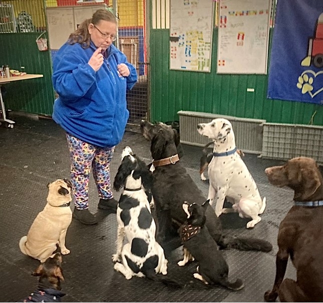 Sheilagh Goodwin of Clicktrain K9 Centre in Bonnybridge, Scotland