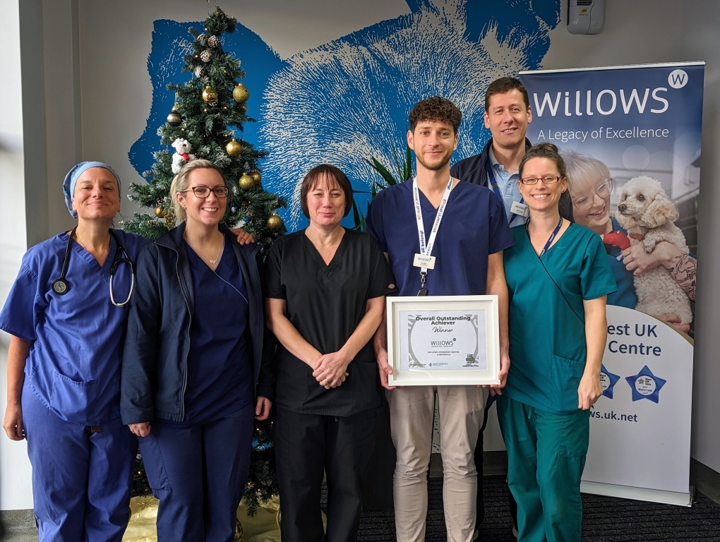 Members of the Willows green giants team, from left, Alessandra Mathis, Charlotte Robinson, Caludia Davis, Nic Mills, Jullian Brown and Nicky Lawrence. 