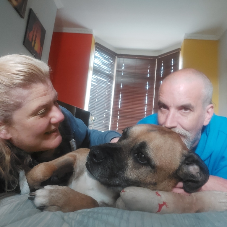 The team at Pride Veterinary Referrals rebuilt Boatswain&#39;s spine using a titanium implant.