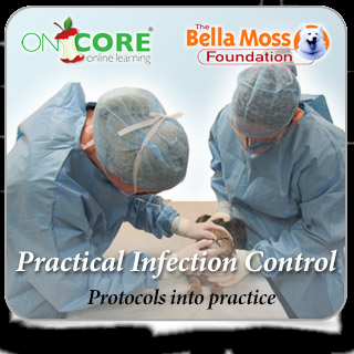 Creating protocols that will work for you and your practice