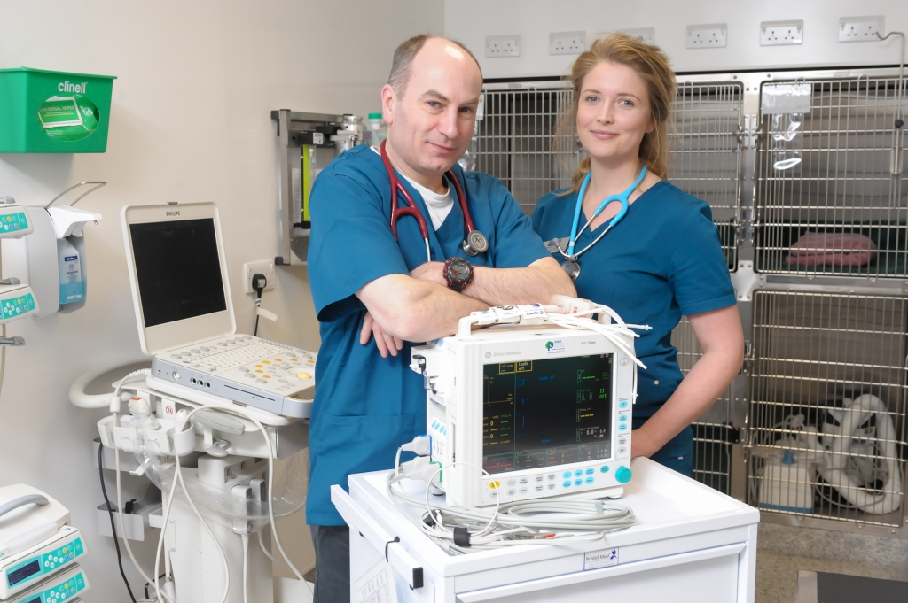 Dr David Mackenzie, RVCS Advanced Practitioner in ECC and Cardiology, and RVN Harriet Deering, clinical lead 