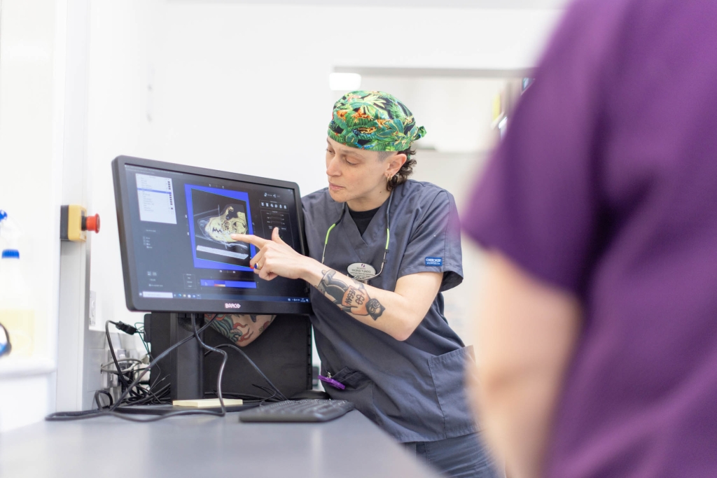 DentalVets’ Ingrid Tundo, a specialist in veterinary dentistry, will focus on common maxillofacial surgeries during the CPD event.