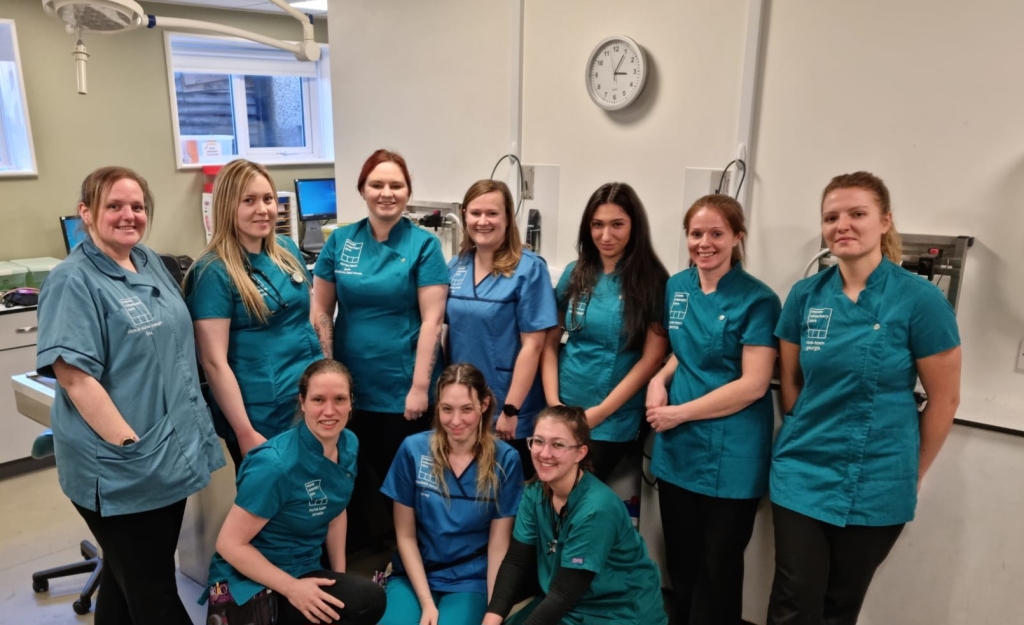 Members of the nursing team at Maven Vets in North Cheam, which has celebrated more than 100 years of combined nursing experience.