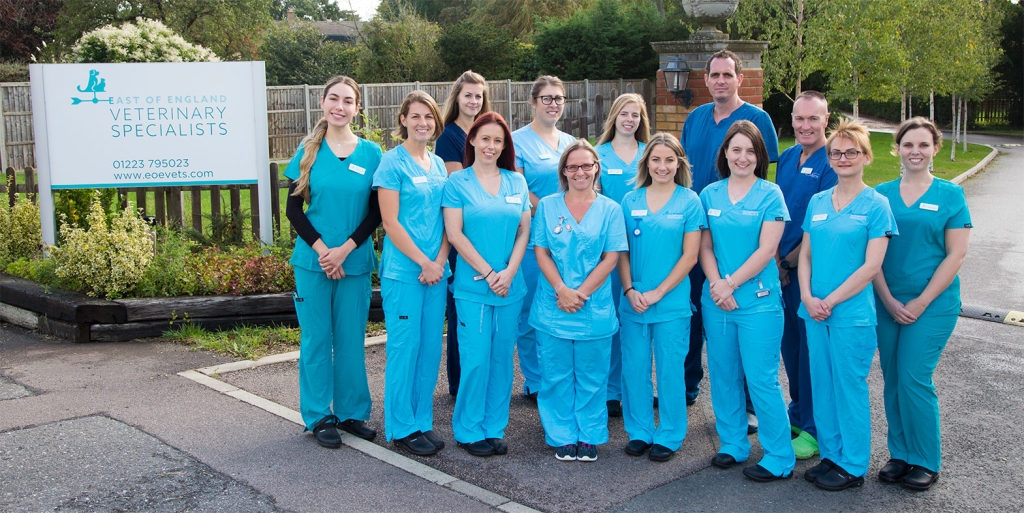 East of England Veterinary Specialists Team
