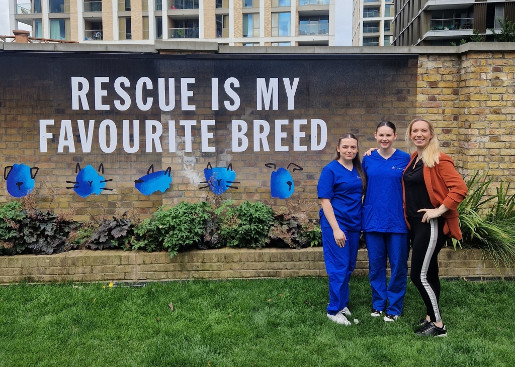 London Vet Specialists hospital director Emma Laws and fellow LVS volunteers, vet nurse Scarlett Dean and patient care assistant Holly Hassan, at the famous Battersea Dogs and Cats Home. 
