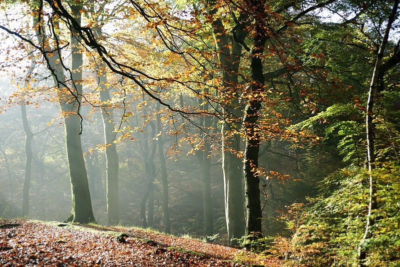 Smithills - Credit Heather Beckett