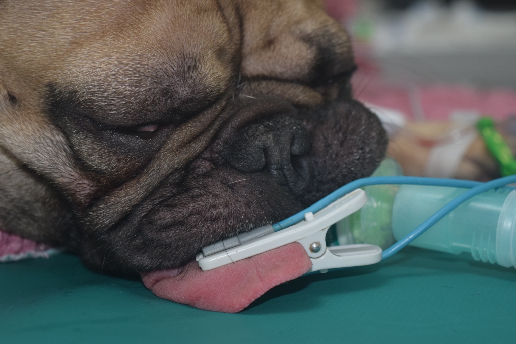 Please credit Ian Ramsey