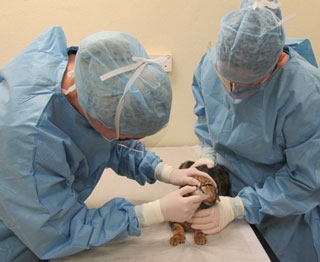 Infection control in theatreInfection control in theatre