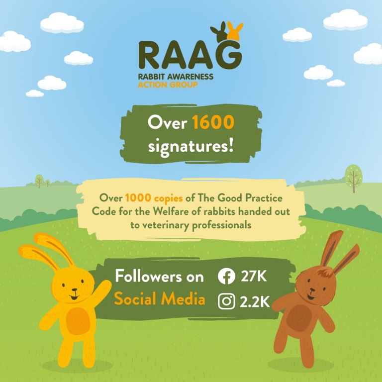 RAAG graphic