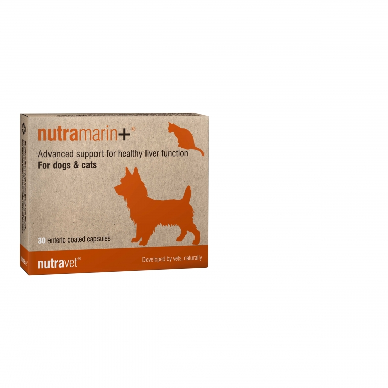 NEW advanced liver support for pets in easy to administer sprinkle ...