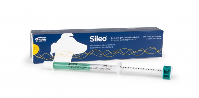 Sileo, a new treatment for noise anxiety