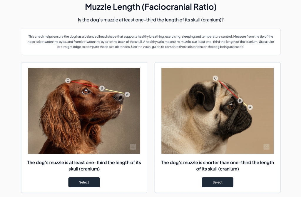 A new digital welfare tool aims to transform breeding transparency and support healthier dogs across the UK