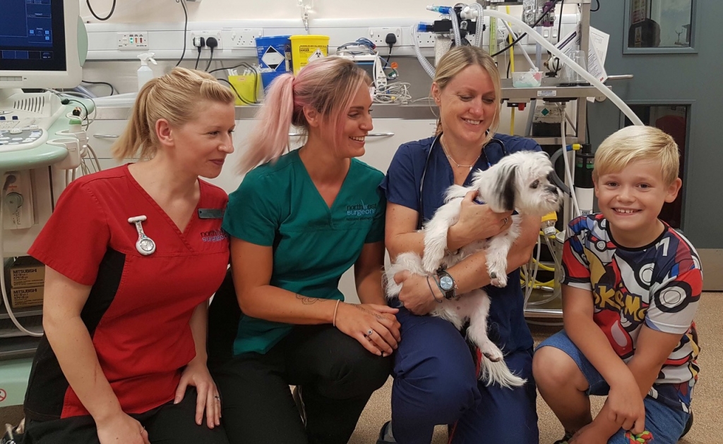 Miko with some of the team at Northwest Veterinary Specialists and his owners son