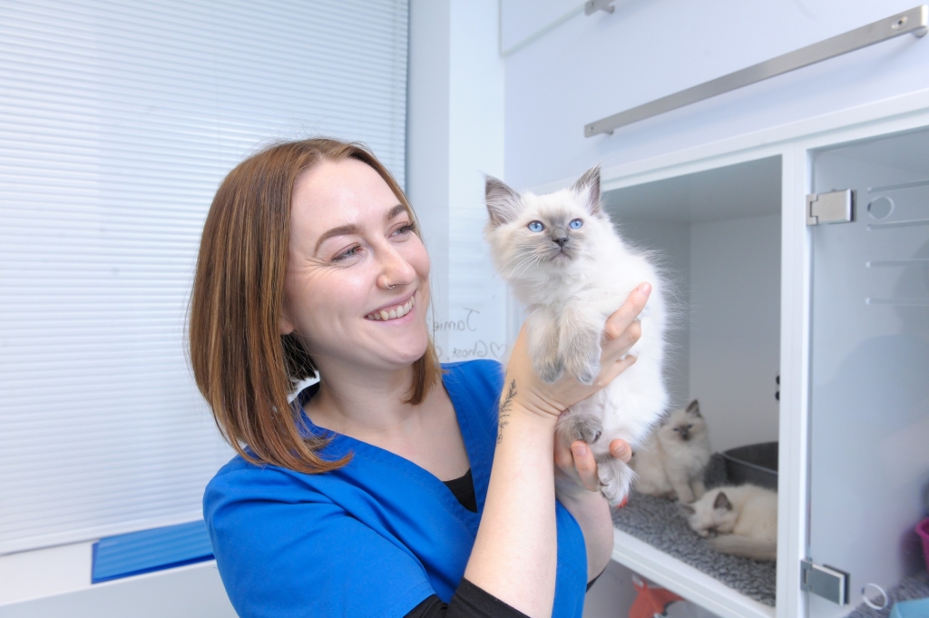 Linnaeus-owned Paragon Veterinary Referrals has been accredited as a silver-level practice by Investors in the Environment (iiE). Pictured is patient care assistant Lily Barnes with one of the practice’s feline patients. 