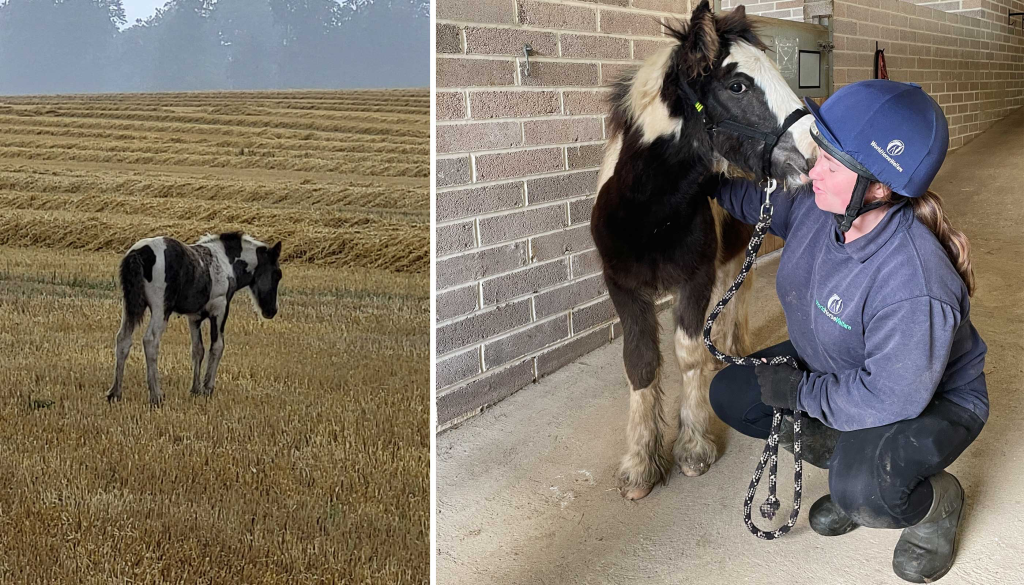 Little Malcolm is learning to trust humans again after the harrowing experience of being taken away from his mother at just a few weeks old and dumped in a field