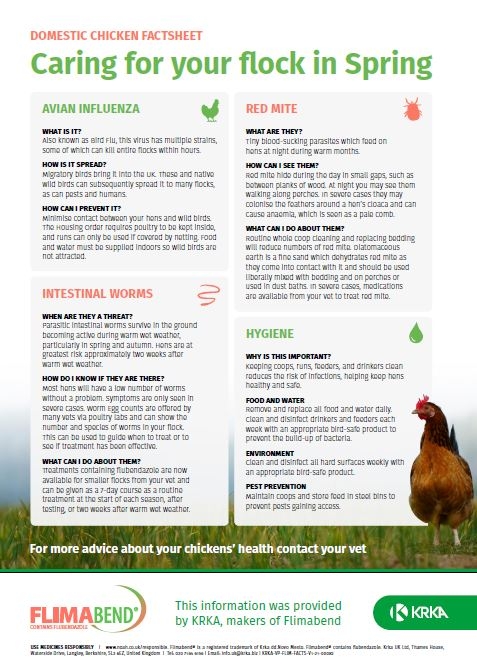 Krka Launches Preventative Health Awareness Campaign for Domestic Poultry  Keepers / Veterinary Industry News / VetClick