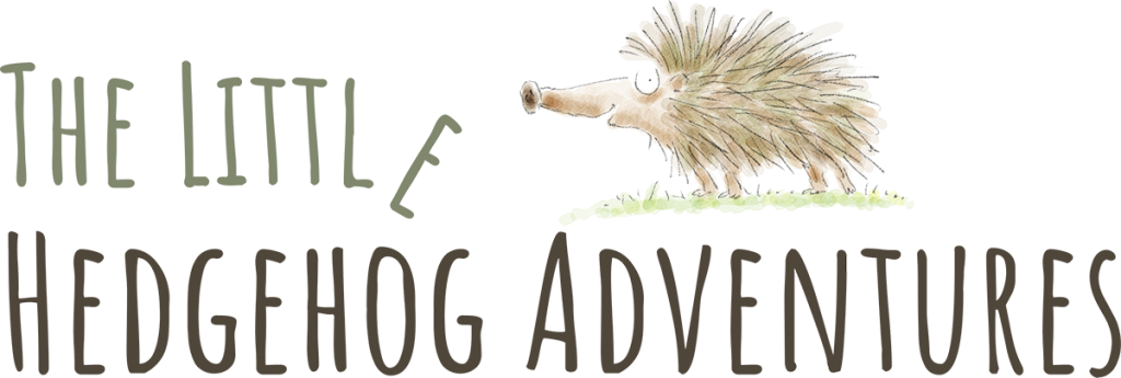 Book title and illustration in cartoon style of hedgehog