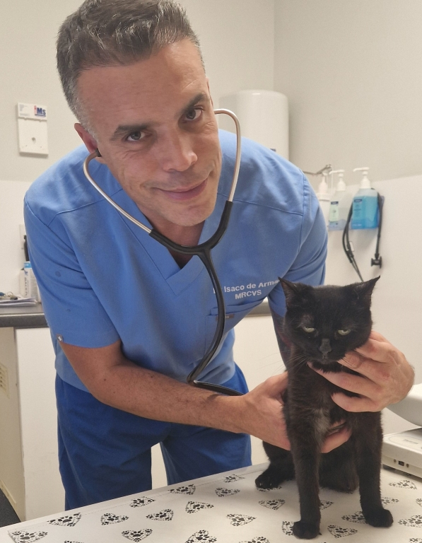 Isaco deArmas has been appointed head vet at Village Vet&#39;s Kensal Green practice. 