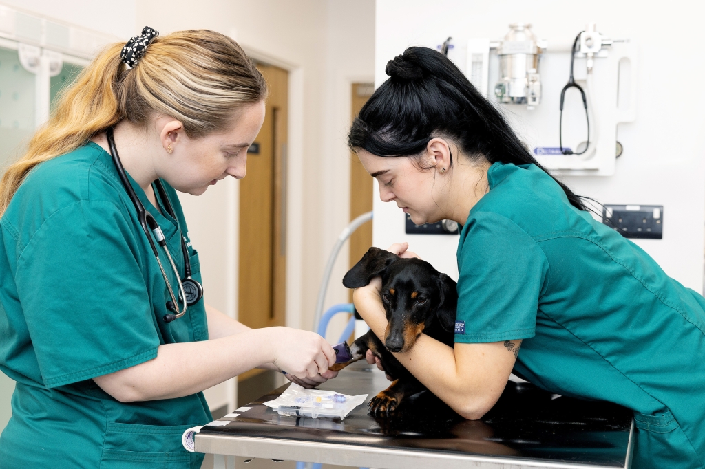 The programme is recognised by the Chartered Management Institute 