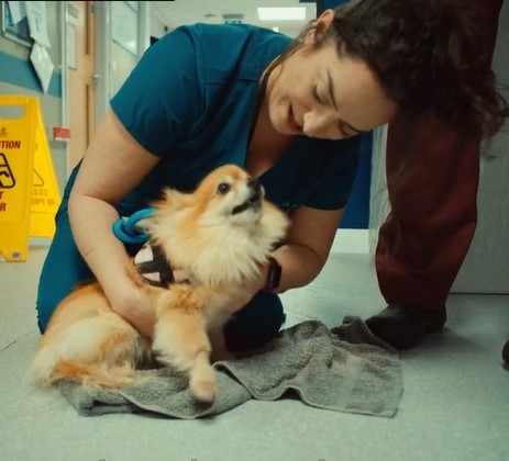 A new short film has been launched to recognise the remarkable work of front line veterinary colleagues in the UK