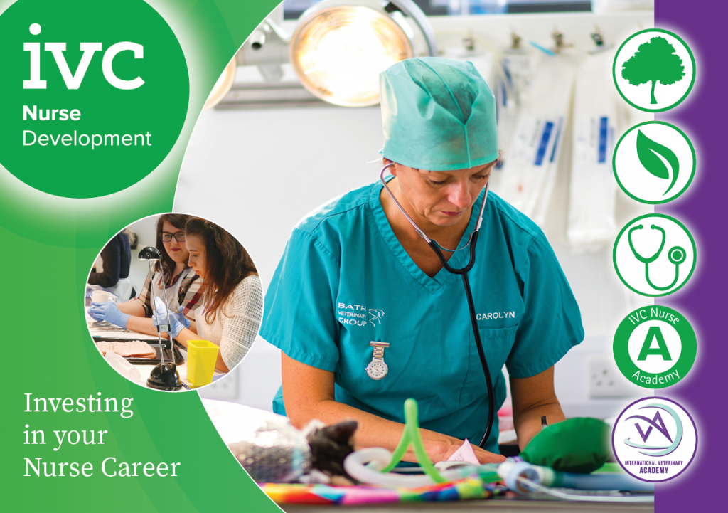 IVC Overseas Nurse Programme