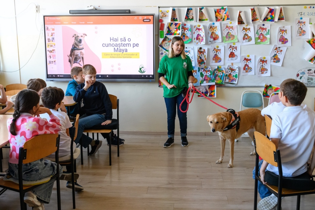 One of many tactics used by Speranta Shelter in Romania is to educate children and families to help tackle the country's stray dog issue at its heart. 