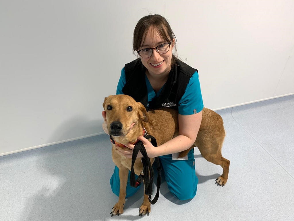 A dramatically improved Salem with Paragon diagnostic nurse Helen Sorby