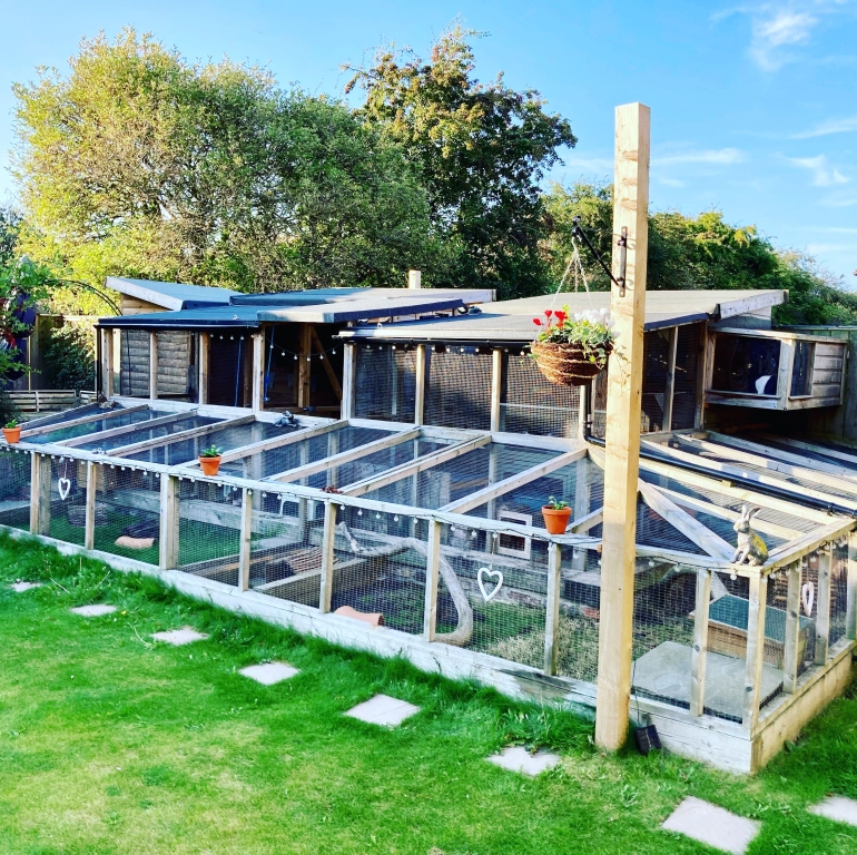 Amazing, yet budget-friendly bunny housing created by their owners