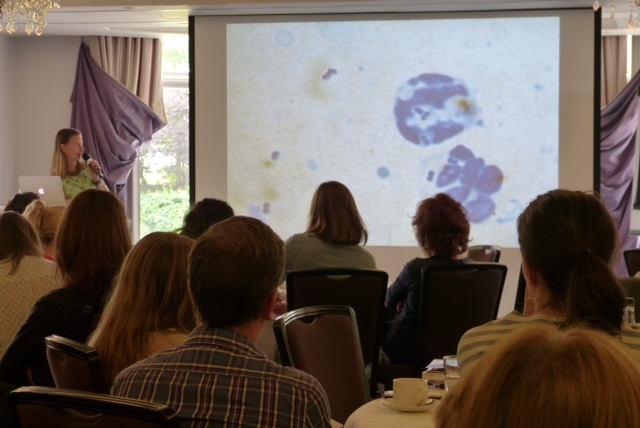 Veterinary dermatologist, Ariane Neuber, speaking at the Surrey CPD event