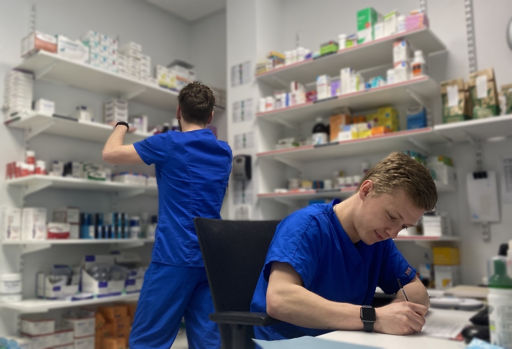 Paragon Veterinary Referrals earns prestigious veterinary award.