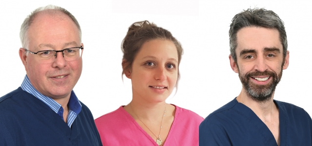 Turlough, Perrine and Nick