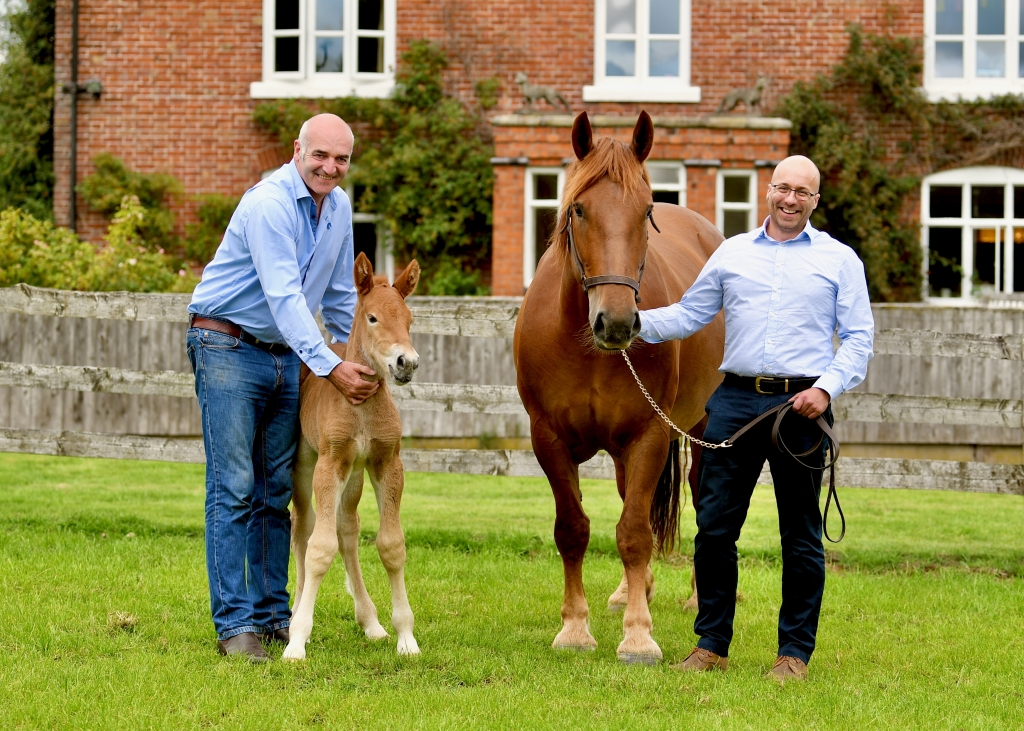 Tullis Matson with the foal and Dr Gareth Starbuck with Ruby