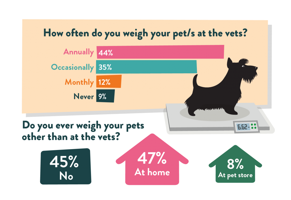 Graphic showing graph asking how often you weigh your pet at the vet