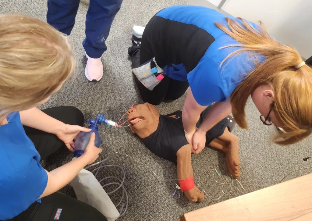 Veterinary professionals travelled to Northwest Veterinary Specialists to learn how to perform life-saving CPR on dogs and cats. 