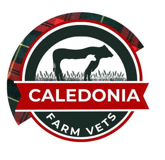 The new practice will open in Strichen Aberdeenshire