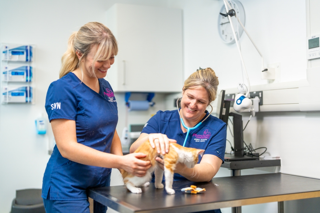 IVC Evidensia colleagues at Plymouth vet hospital 