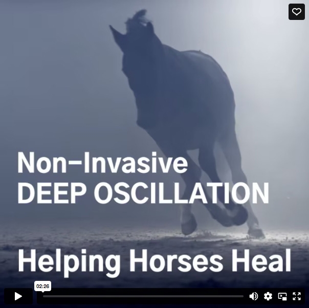 DEEP OSCILLATION® - Helping Horses Heal