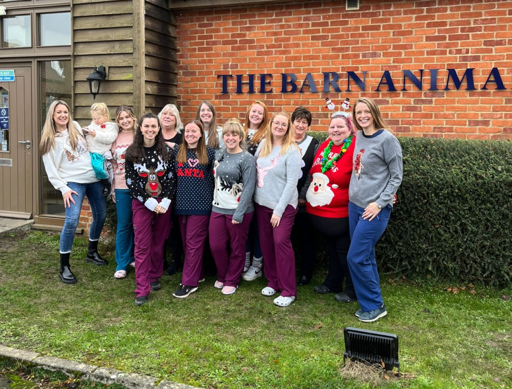 The Barn Animal Hospital is holding a festive open day.