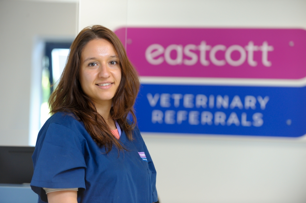 Virginia Crespo who recently passed her European Diploma exams to become EBVS® European Specialists in veterinary neurology