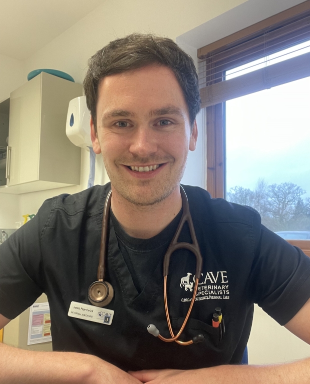 Josh Hardwick is now a European Specialist in Small Animal Internal Medicine after successfully passing his exams.