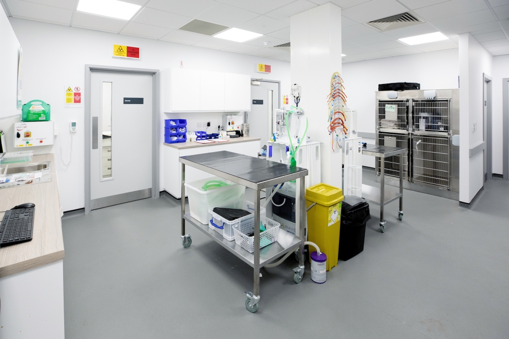 CVS invests up to £50m a year in a new practice facility standard / Veterinary Industry News